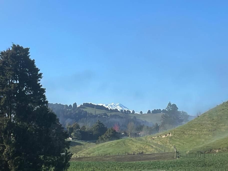 Bush Cabin Your Own Place Stunning Views Taumarunui Exterior photo