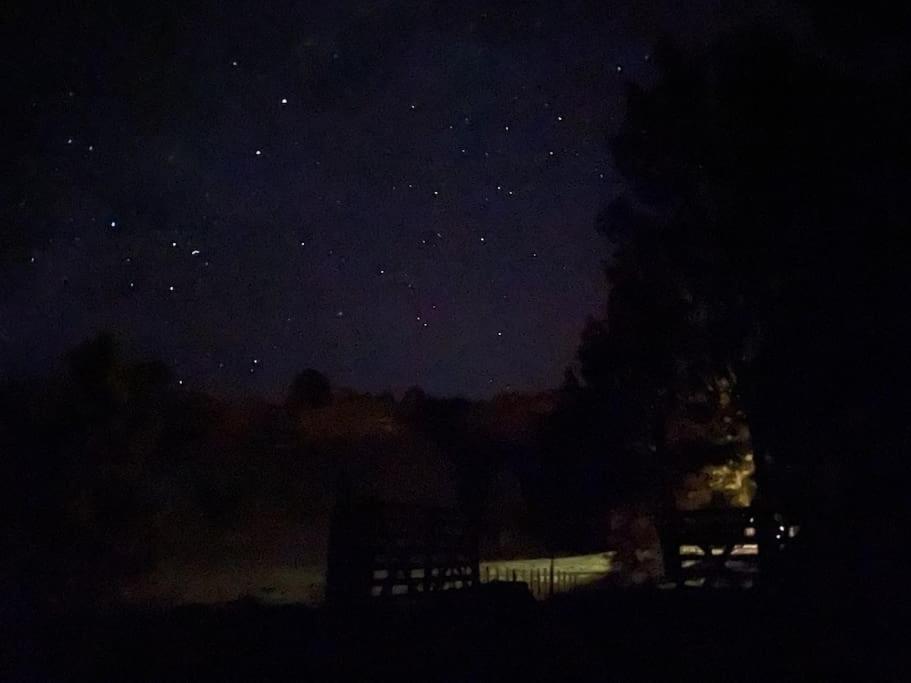 Bush Cabin Your Own Place Stunning Views Taumarunui Exterior photo